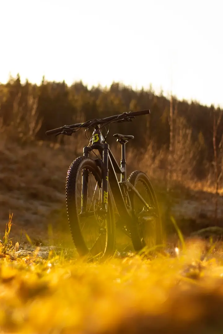 Bicicleta en el campo