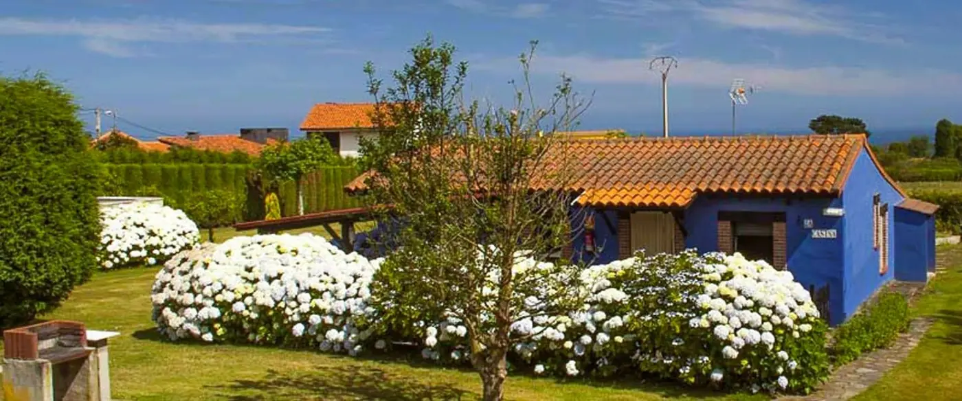 Hortensias frente a la casa